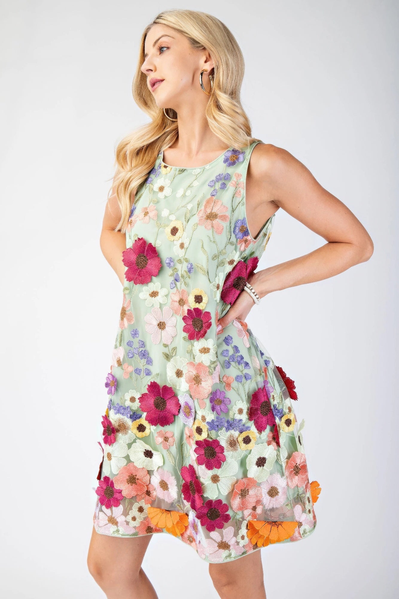 3d Floral Embroidered Sleeveless Mini Dress - That Janis Style