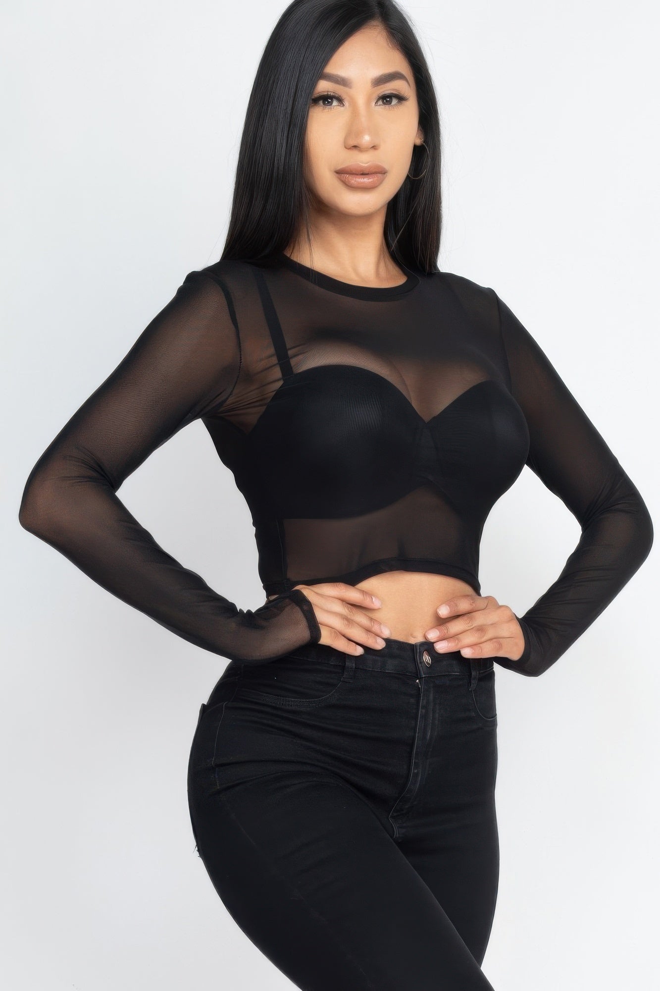 Sexy Sheer Mesh Long Sleeve Crop Top - That Janis Style