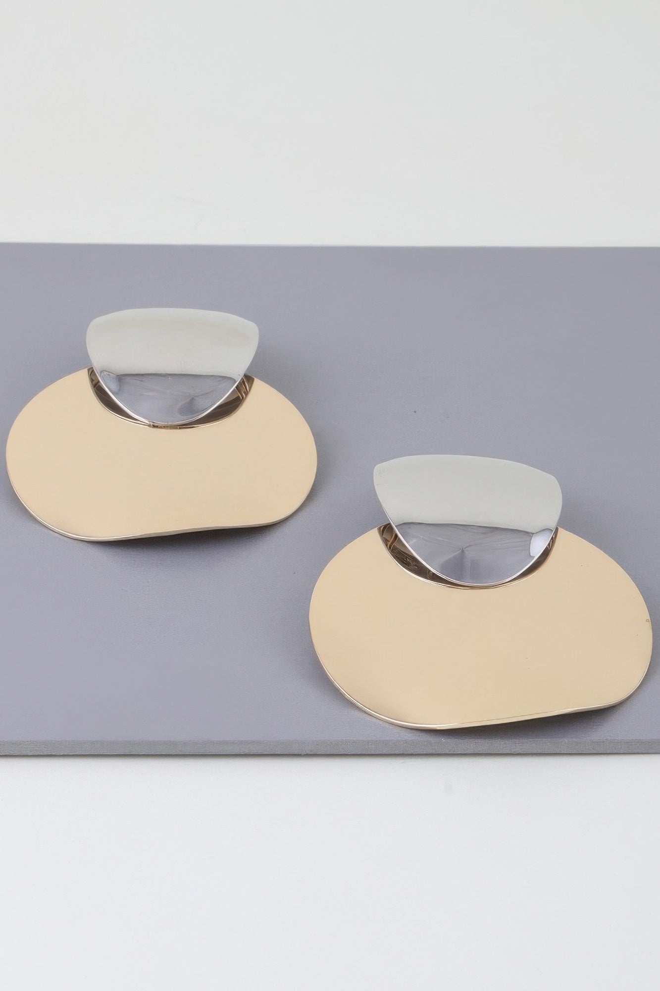 Shiny Modern Disc Earrings - That Janis Style