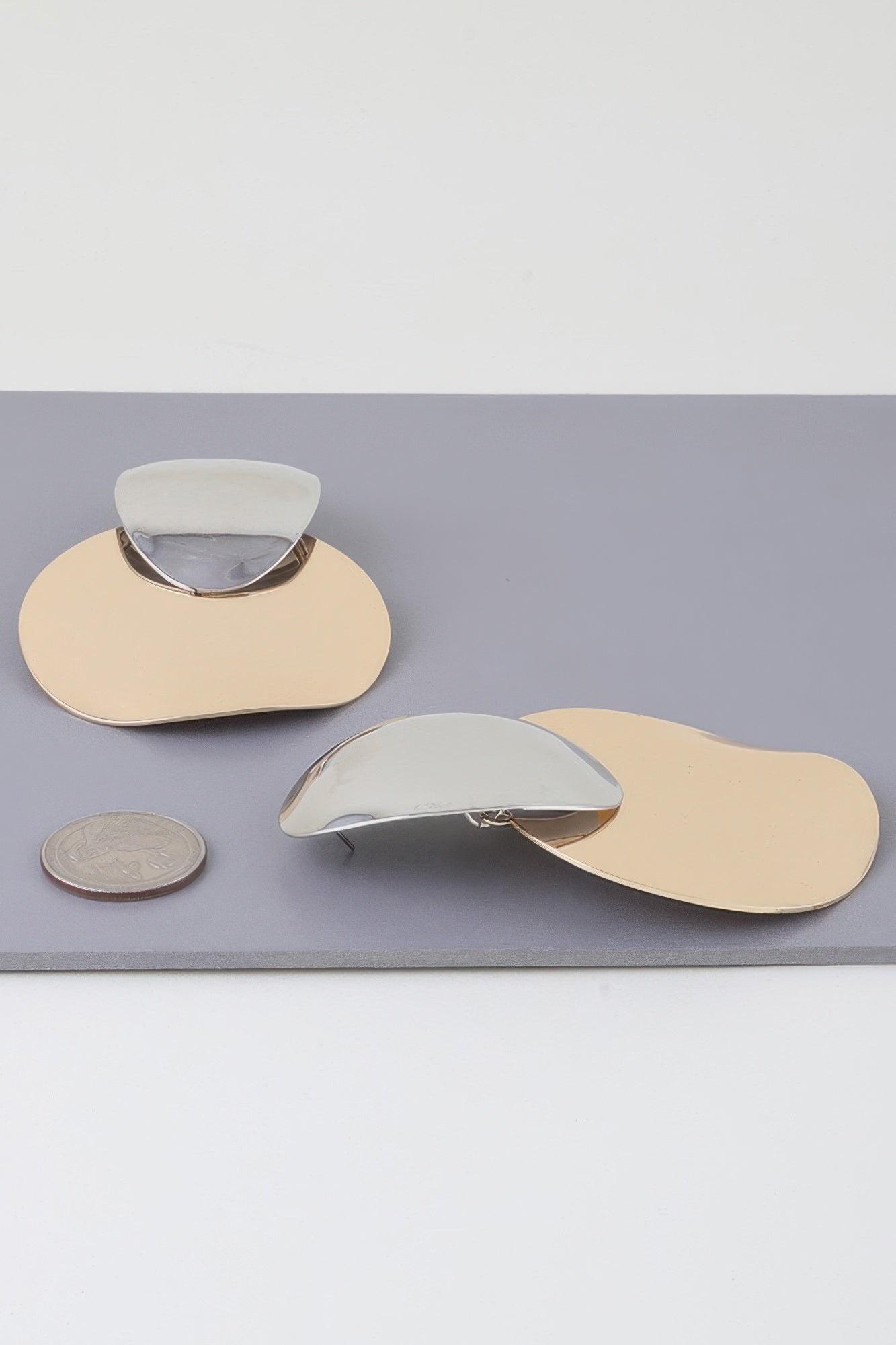 Shiny Modern Disc Earrings - That Janis Style